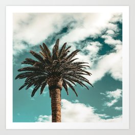 Lush Palm {1 of 2} / Teal Blue Sky Tree Leaves Art Print Art Print