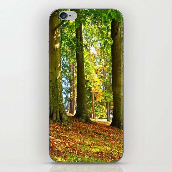 Autumn beauty iPhone & iPod Skin