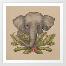 Borneo Pygmy Elephant Art Print