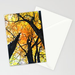 Guelph Lake Leaves Stationery Card