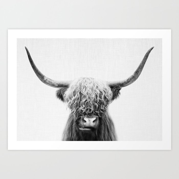 Scottish Highland Cow Art Print