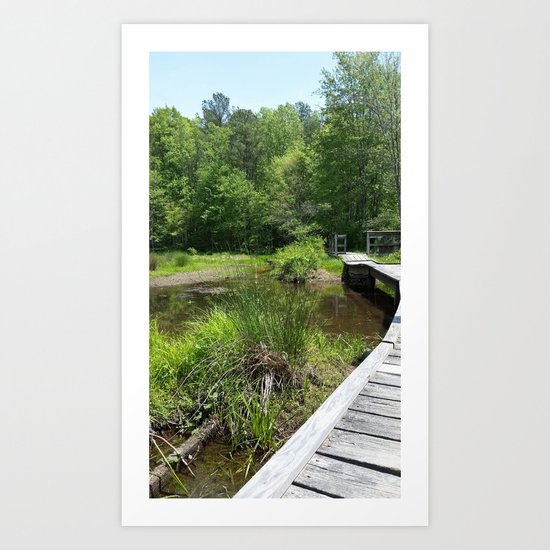 Swampy Path Art Print
