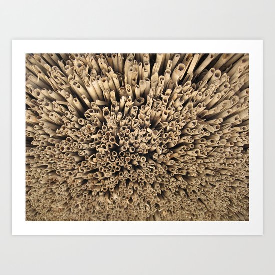 Straw Art Print