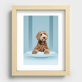 Goldendoodle Laying on Minimal Pastel Blue Podium Recessed Framed Print