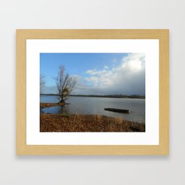 Lakeshore Framed Art Print