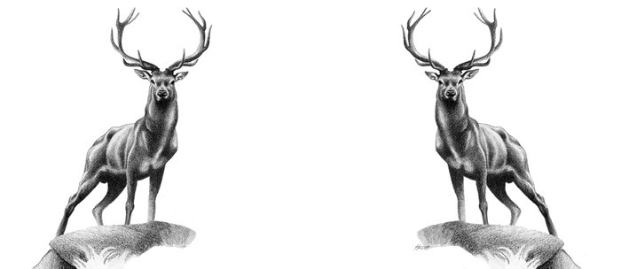 All Muscle Red Deer Stag Coffee Mug By Patriciahowitt