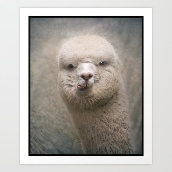 Alpaca! Art Print