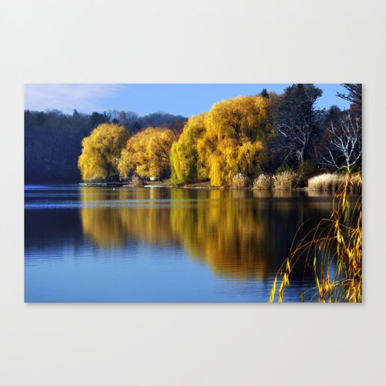 November Pond Canvas Print