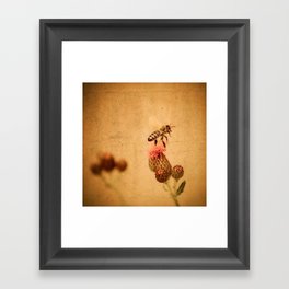 The Thistle And The Bee Framed Art Print