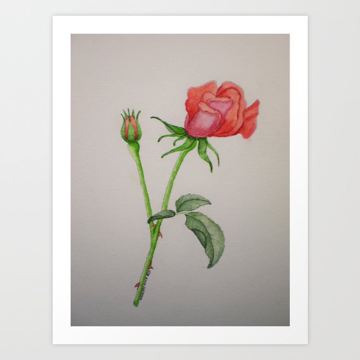 pink/orange rose Art Print