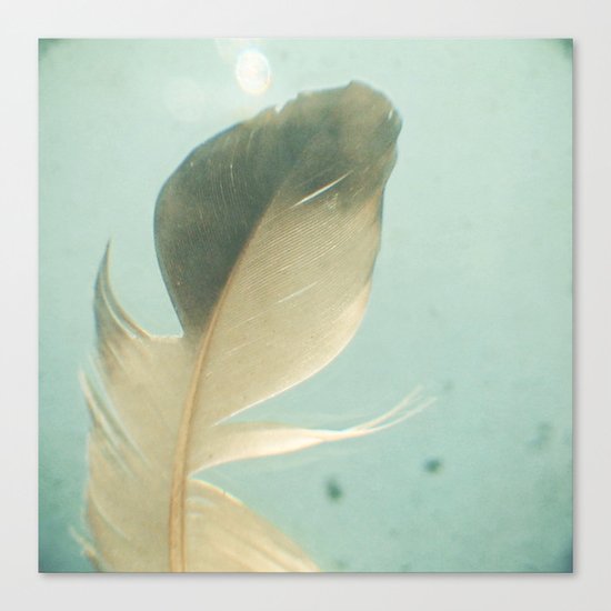 Grey Feather Canvas Print