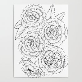 Peony Patch Poster