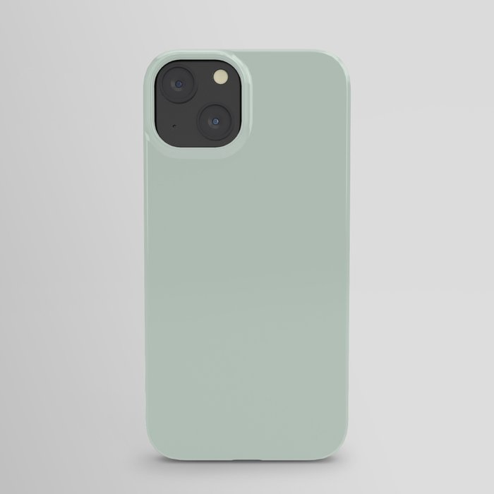Sage Green Pastel iPhone Case