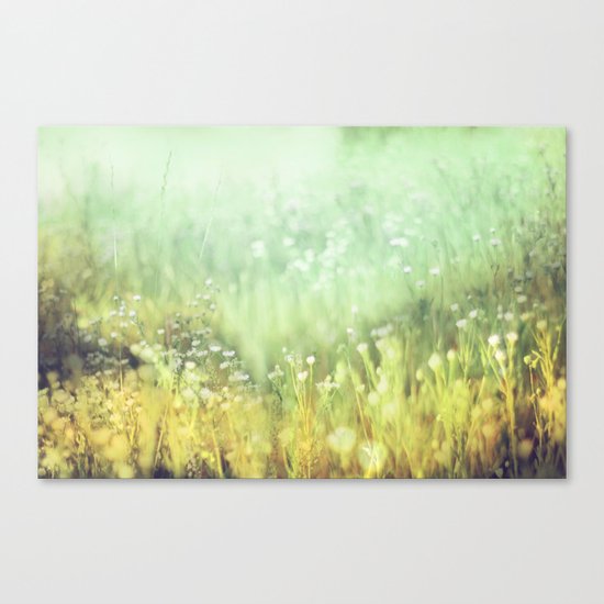 Meadowland Canvas Print