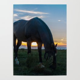 Dining at sunset Poster