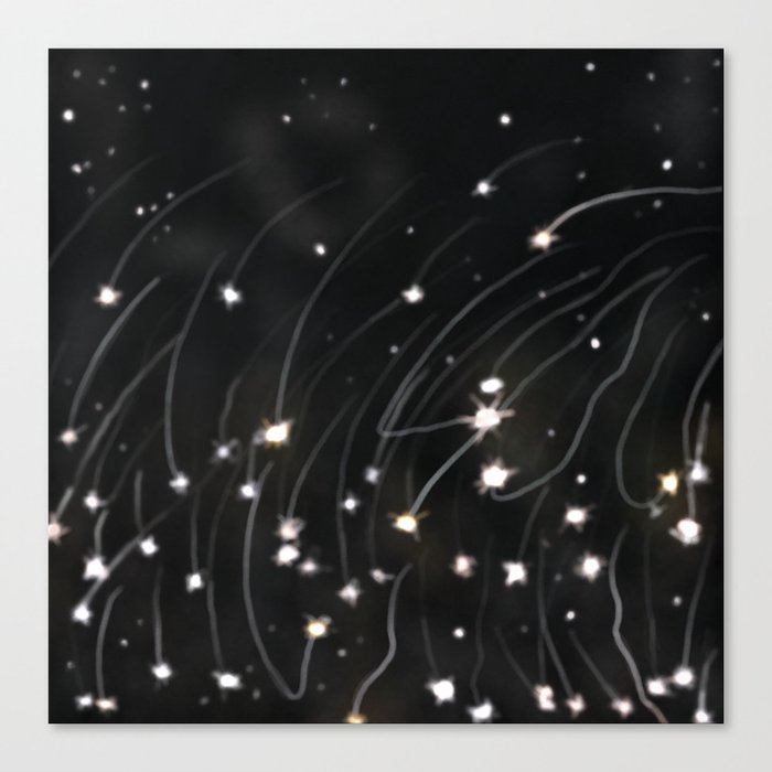 Meteor shower  Canvas Print