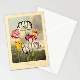 Tulips from "The Temple of Flora," 1812 (benefitting The Nature Conservancy) Stationery Card