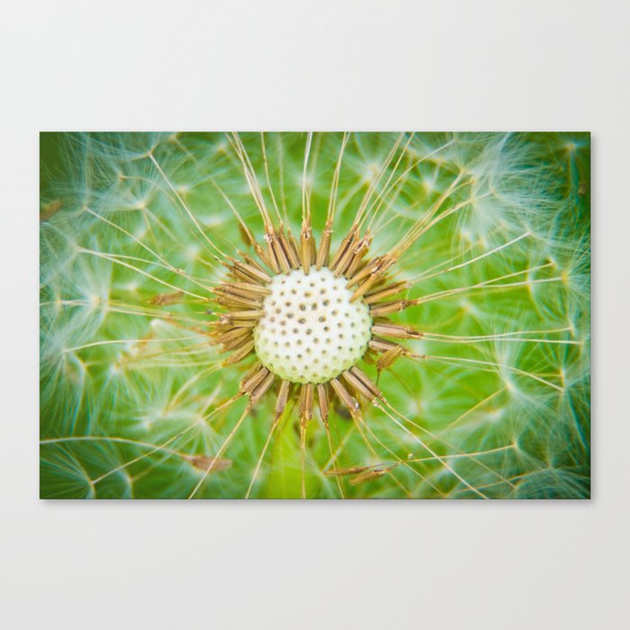 closeup shot of a