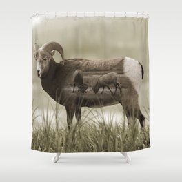 Hungry Goats Shower Curtain
