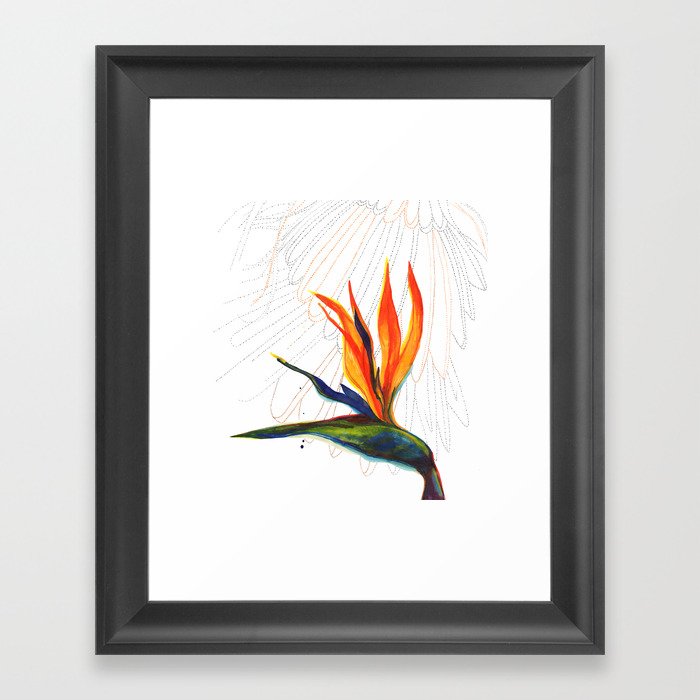 Bird of Paradise Framed Art Print