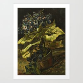 Cineraria by Vincent van Gogh Art Print