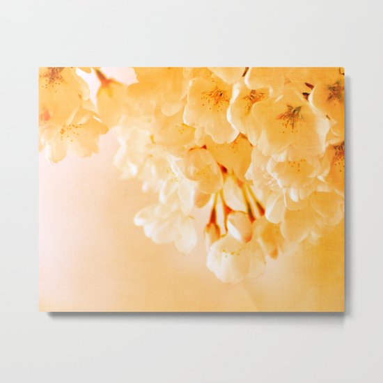 Pastel Blossoms Metal Print