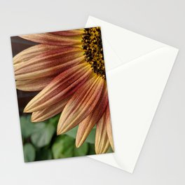 You're my sunflower Stationery Cards