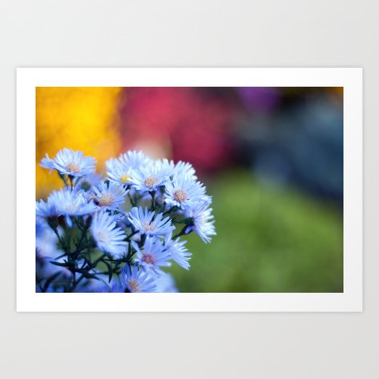 Patchwork of Color Art Print