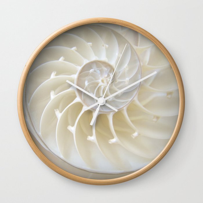 Nautilus Shell Wall Clock