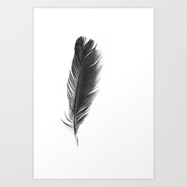 Magpie Feather in Black + White Art Print