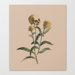 Death Blooms Canvas Print