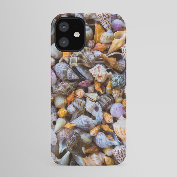Seashell Collection iPhone Case
