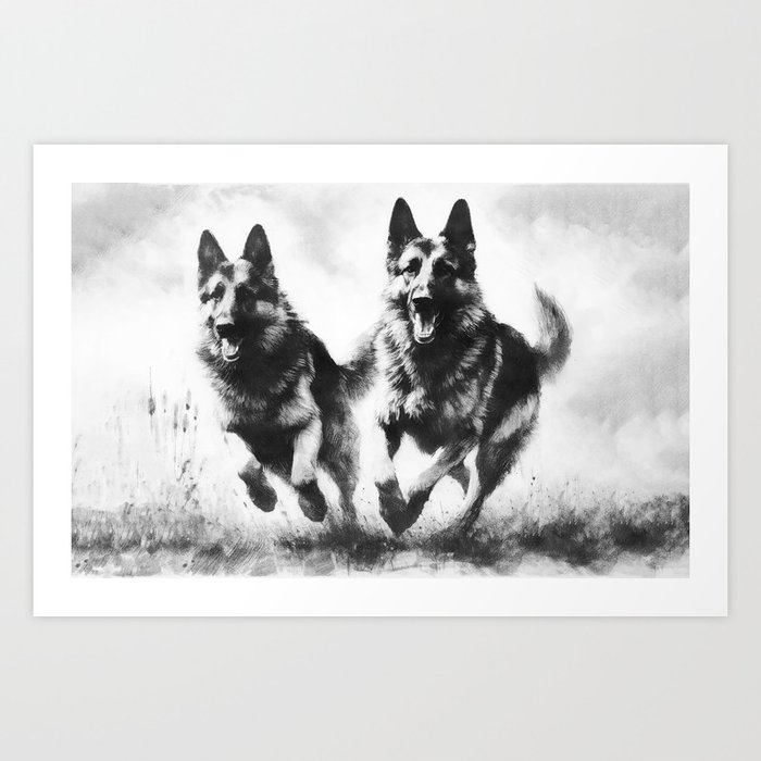 Two German Shepherd Dogs running Art Print
