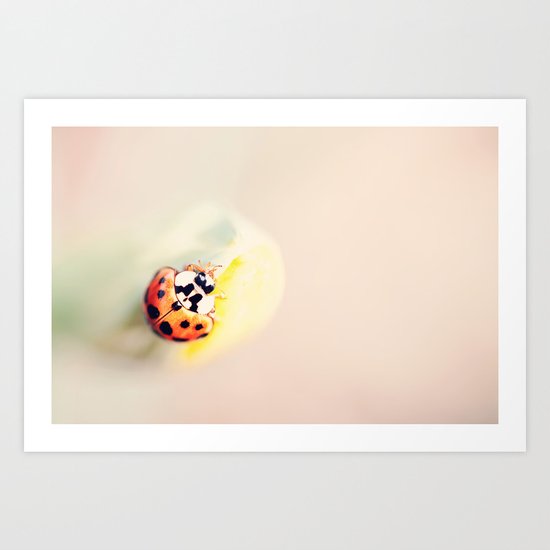 The Lady Art Print