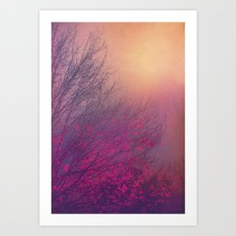 Pink Purple Autumn Dusk Art Print