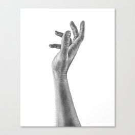 Reach Canvas Print