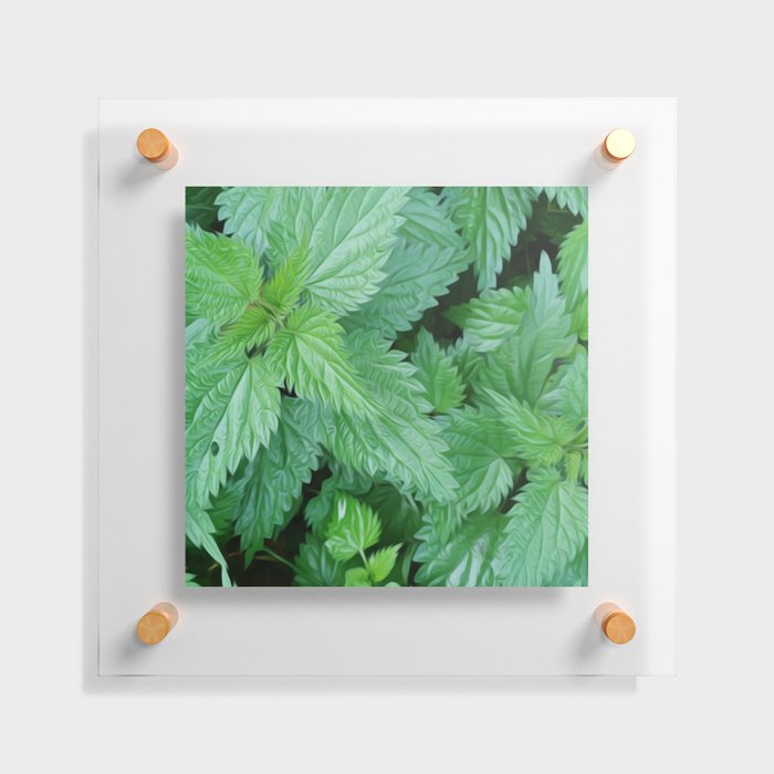 Nettle Herb Garden Plants Green Floating Acrylic Print
