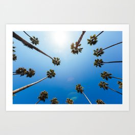 Palm Trees in Los Angeles Art Print