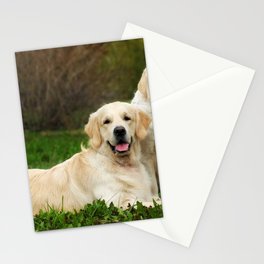 Two Family Dogs Couple Golden Retriever  Stationery Card