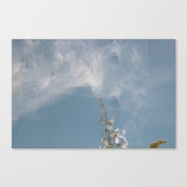 Blue Haze Canvas Print