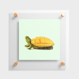 MANGO TURTLE Floating Acrylic Print