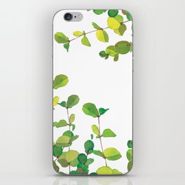 Botanic Watercolour: Eucalyptus iPhone Skin