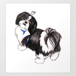 Shih Tzu Art Prints For Any Decor Style Society6