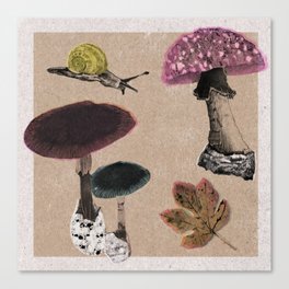 Fantastic Fungi Canvas Print