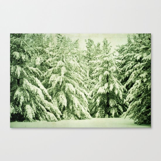 Evergreen Canvas Print