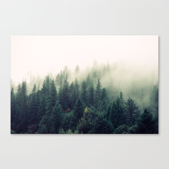 The Foggy Forest Canvas Print