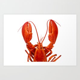 Atlantic Lobster 2 Art Print