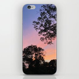 Sunset in Pink iPhone Skin