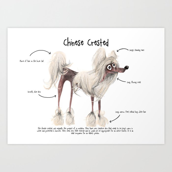 Chinese crested art clearance