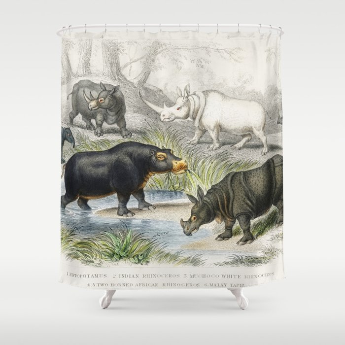 Hippopotamus Indian Rhinoceros Muchoco White Rhinoceros Two Horned African Rhinoceros and Malay